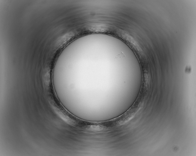 X0000102020541200808011426