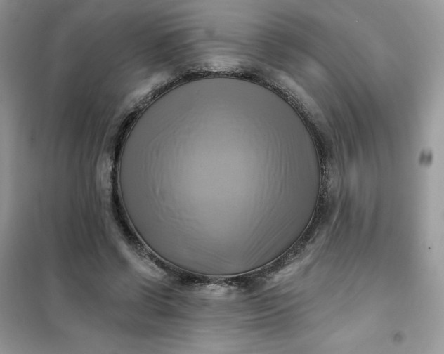 X0000102020542200808011426