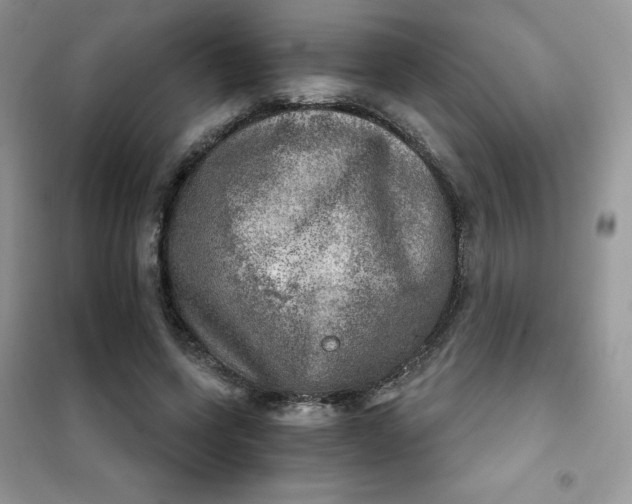 X0000102020543200808011426