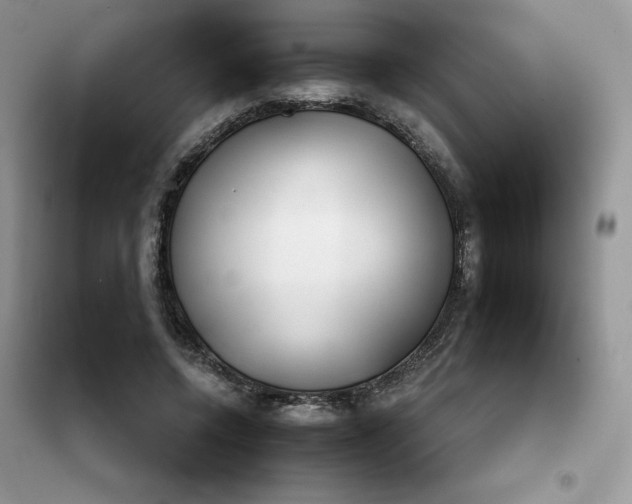 X0000102020544200808011426