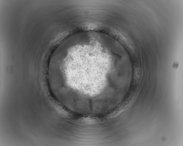 X0000102020545200808011426