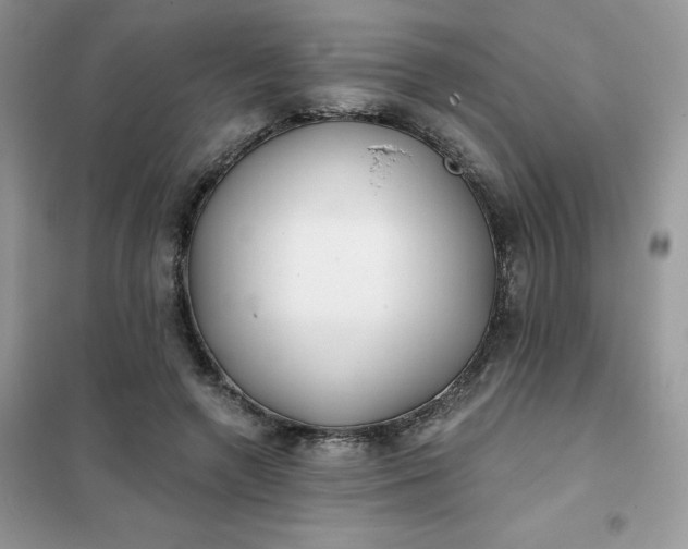 X0000102020546200808011426