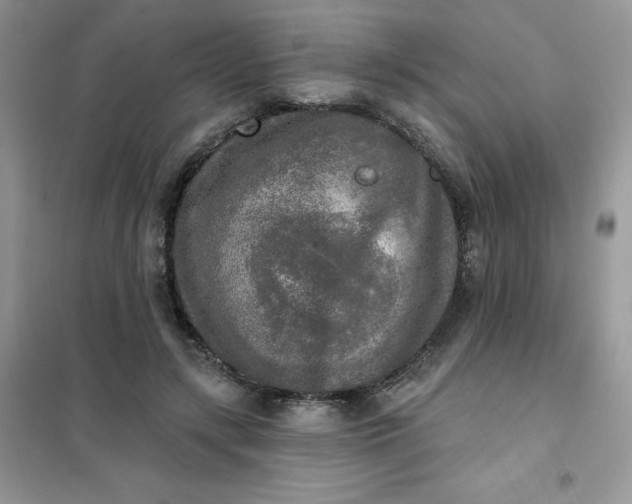 X0000102020547200808011426