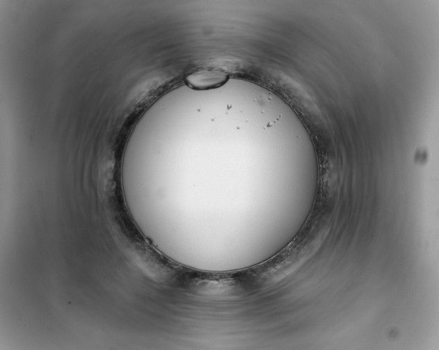 X0000102020548200808011426