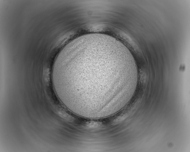 X0000102020549200808011426