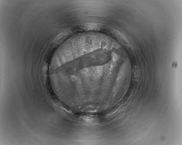 X0000102020550200808011426
