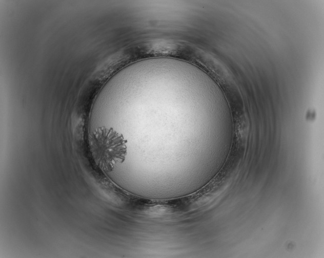 X0000102020551200808011426