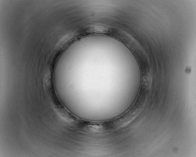 X0000102020552200808011426
