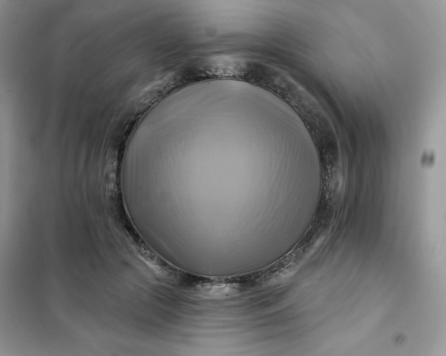 X0000102020553200808011426