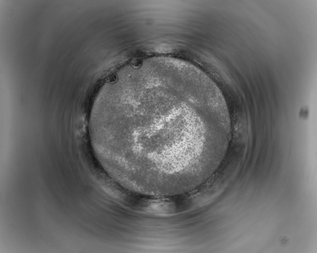 X0000102020555200808011426