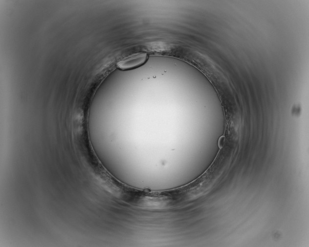 X0000102020556200808011426
