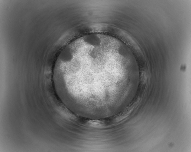 X0000102020557200808011426