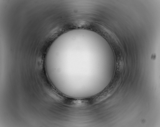 X0000102020558200808011426