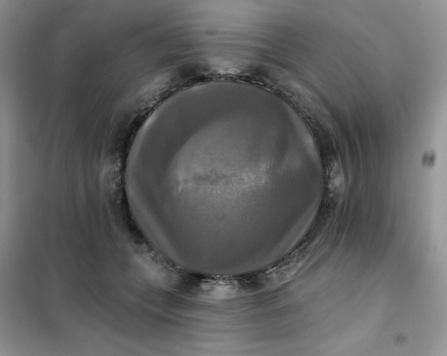 X0000102020559200808011426