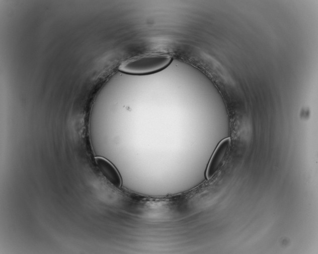 X0000102020560200808011426