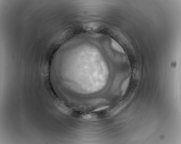 X0000102020561200808011426
