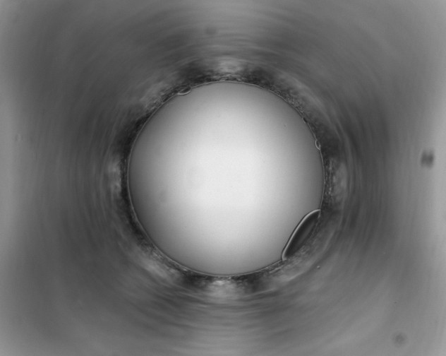 X0000102020562200808011426