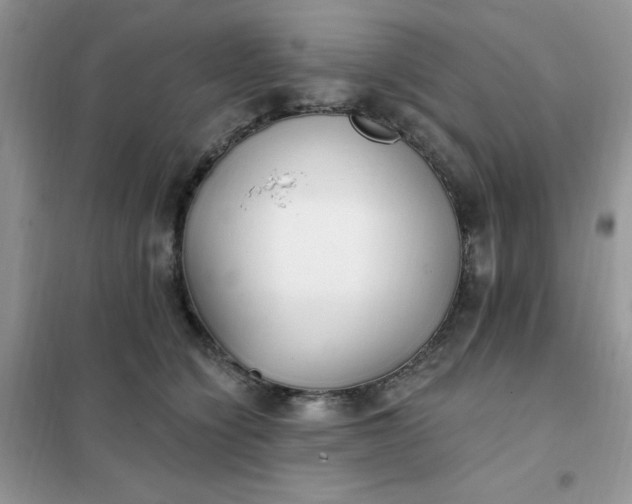 X0000102020564200808011426