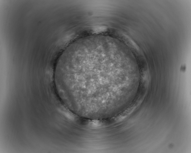 X0000102020565200808011426