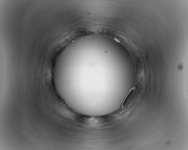 X0000102020566200808011426