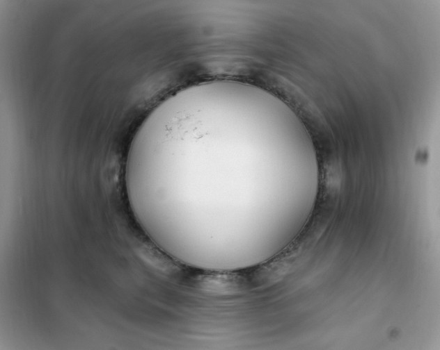 X0000102020567200808011426