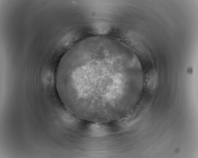X0000102020568200808011426