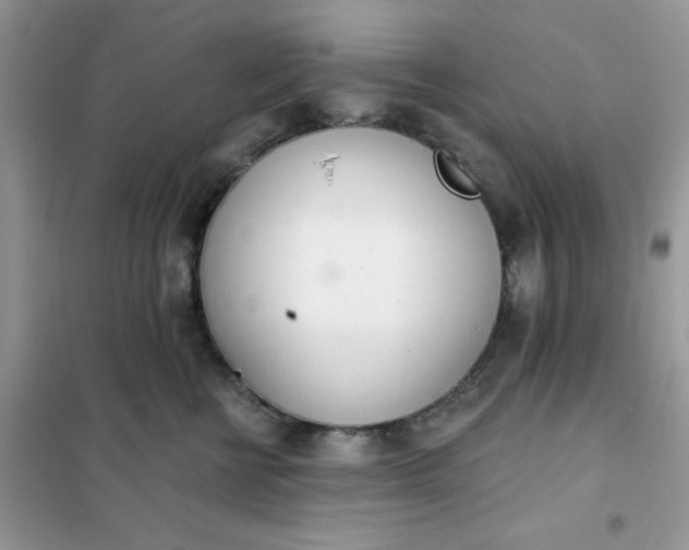 X0000102020570200808011427
