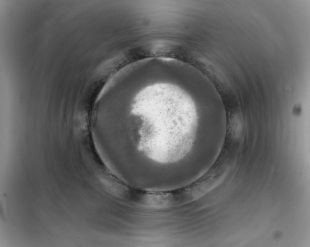 X0000102020571200808011427