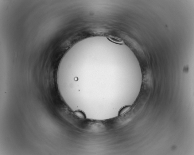 X0000102020572200808011427