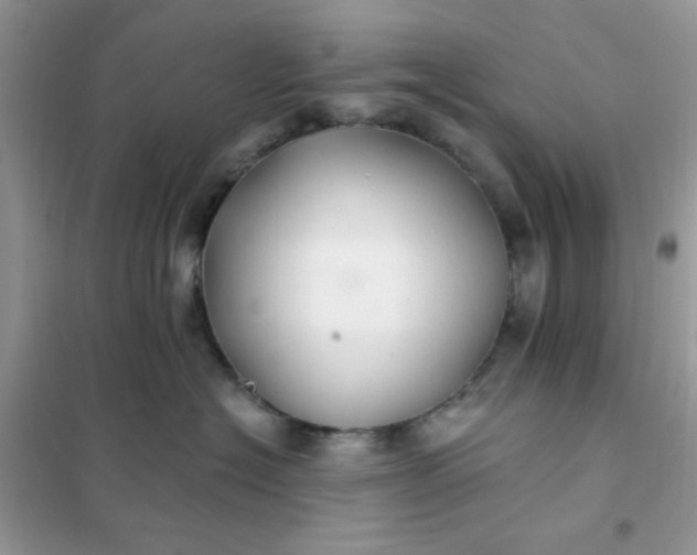 X0000102020574200808011427