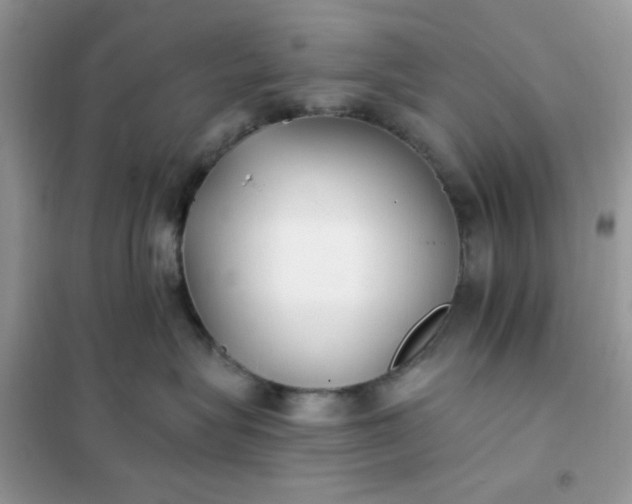X0000102020575200808011427