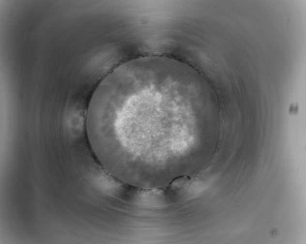X0000102020576200808011427