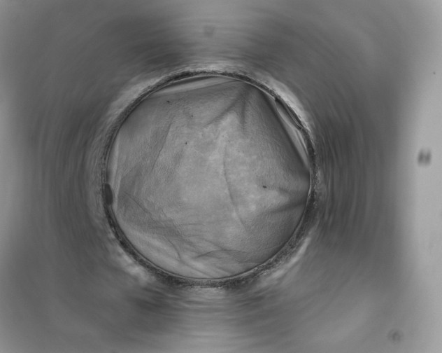 X0000102020577200808011426