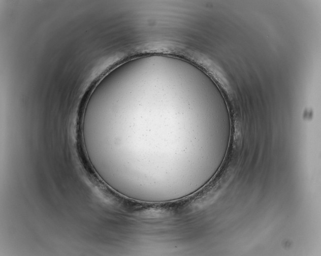 X0000102020578200808011426
