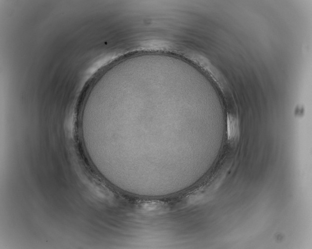 X0000102020579200808011426