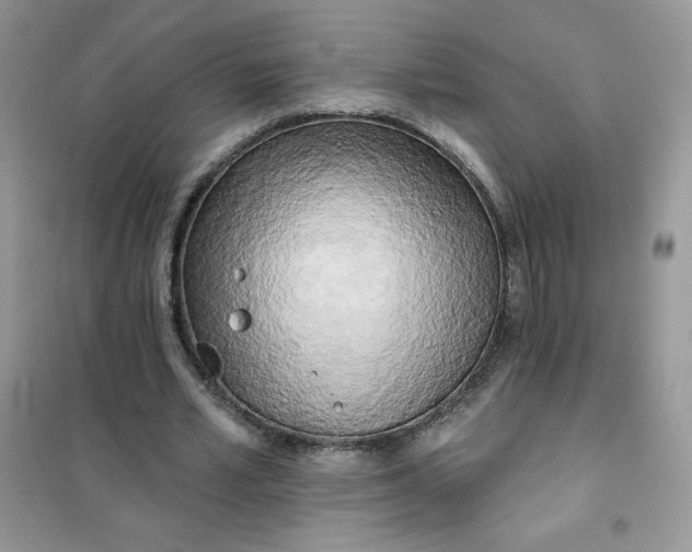 X0000102020581200808011426