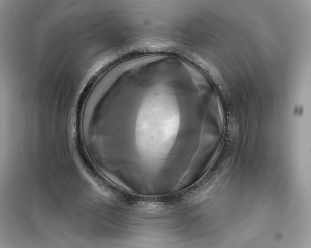 X0000102020582200808011426