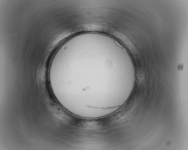 X0000102020583200808011426
