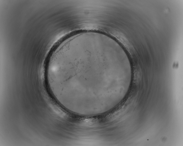 X0000102020584200808011426