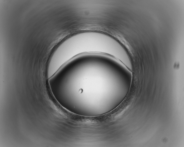 X0000102020585200808011426