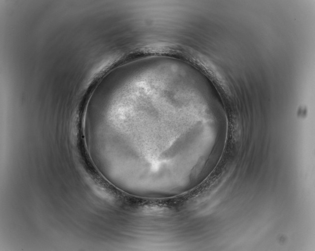 X0000102020586200808011426