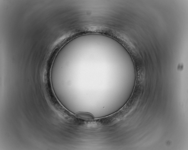 X0000102020587200808011426