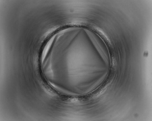 X0000102020588200808011426