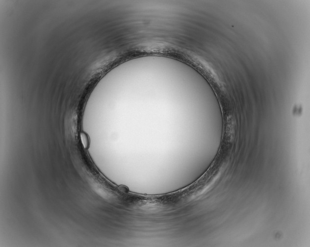 X0000102020589200808011426