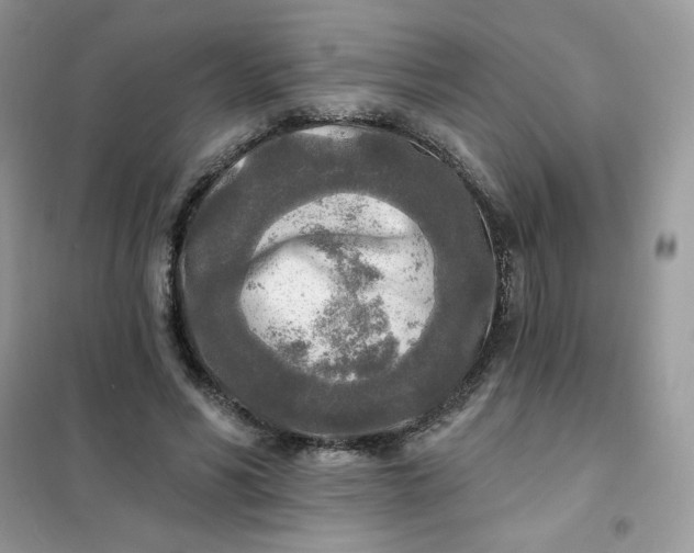 X0000102020590200808011426
