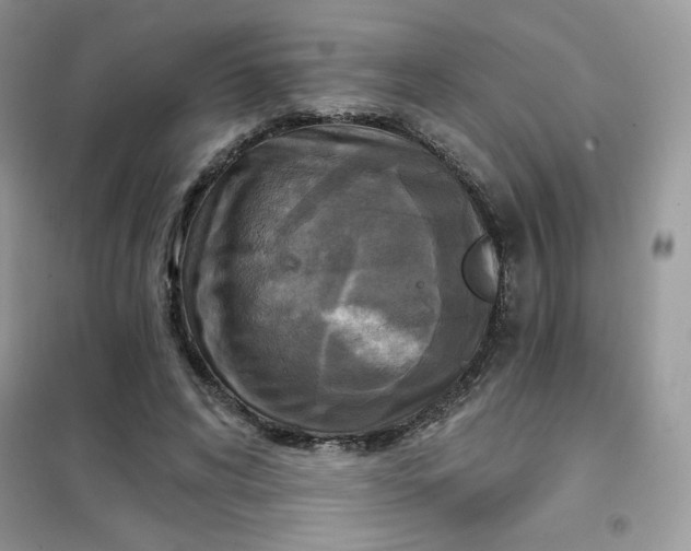 X0000102020592200808011426
