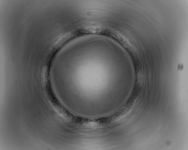 X0000102020594200808011426