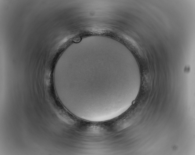 X0000102020596200808011426