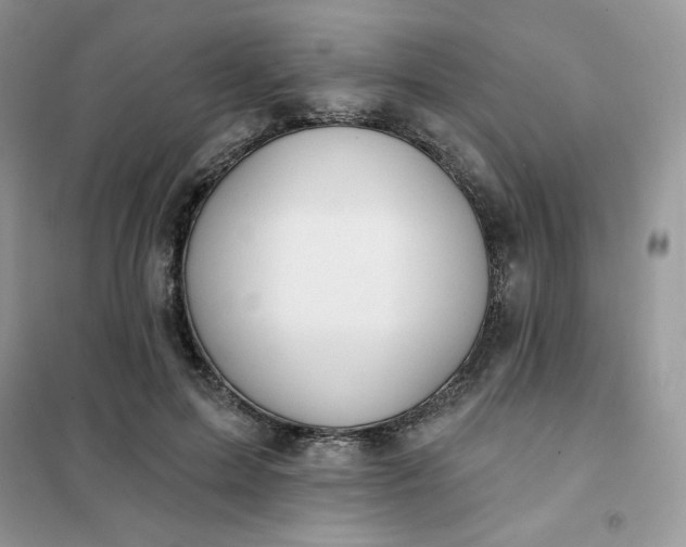 X0000102020599200808011426
