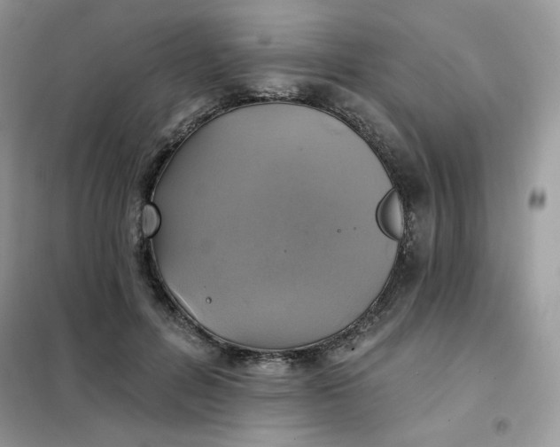 X0000102020600200808011426